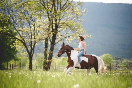 Séance photo équestre en Savoie, Massif de la Chartreuse, Ariane Castellan Photographe