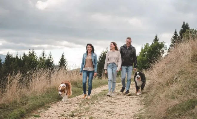 Séance photo canin, photographe animale compagnie au Col du Granier en Chartreuse, Savoie, Isère en Rhône-Alpes, Massif de la Chartreuse, Ariane Castellan Photographe