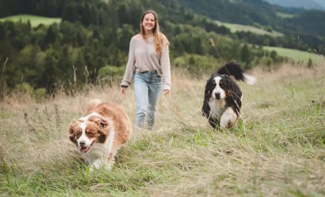 Séance photo canin, photographe animale compagnie au Col du Granier en Chartreuse, Savoie, Isère en Rhône-Alpes, Massif de la Chartreuse, Ariane Castellan Photographe
