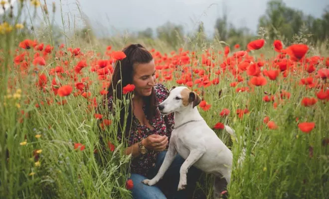 Animaux de compagnie, Massif de la Chartreuse, Ariane Castellan Photographe