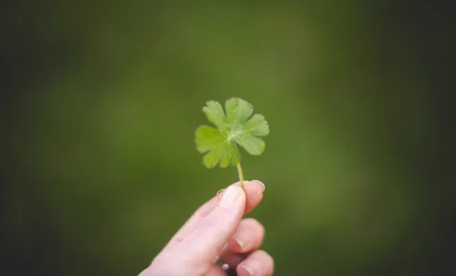 Photo portrait, corporate et reportage professionnel Entreprise, association, Savoie, Isére à Chambéry et dans le Massif de la Chartreuse, Ariane Castellan Photographe