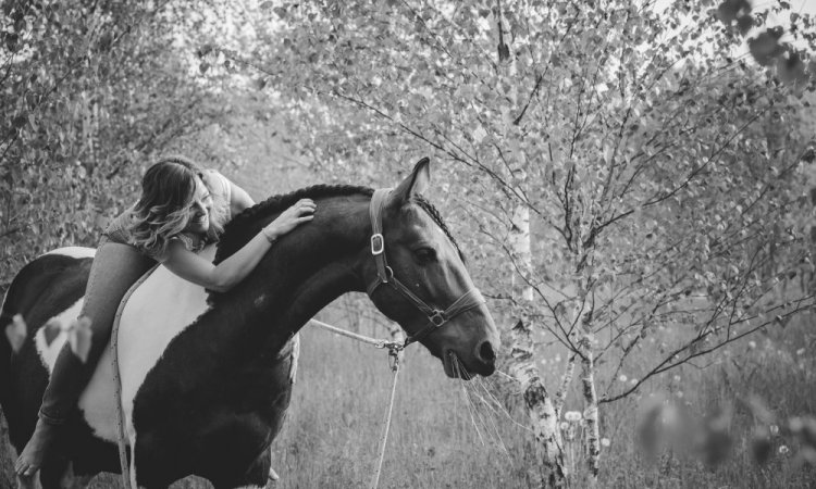 séance photo équestre animaux Savoie Chambery photographe 