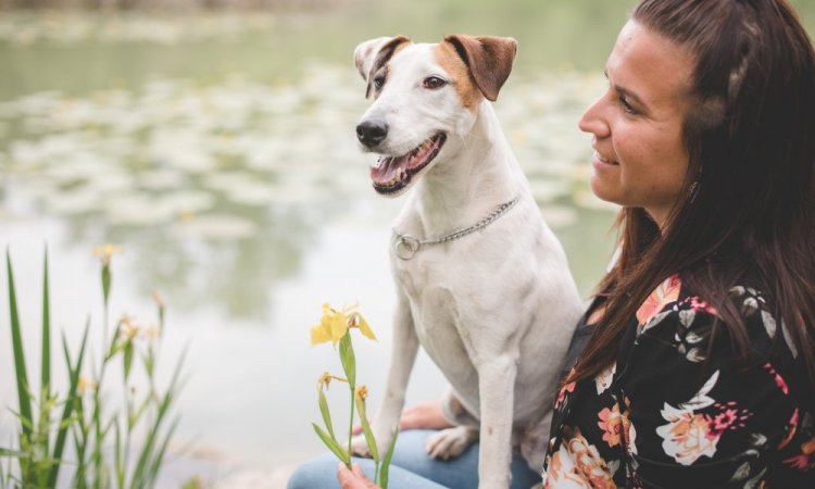 Ariane Castellan Photographe shooting canin Savoie Chambery