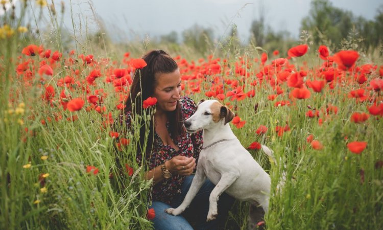 Ariane Castellan Photographe shooting canin Savoie Chambery