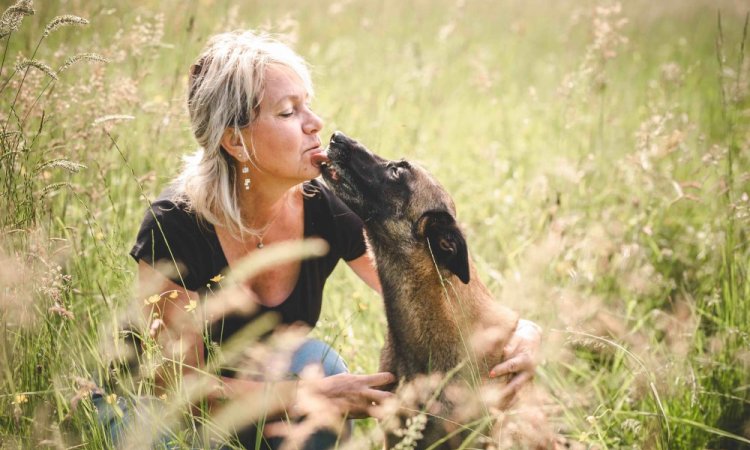 Séance photo animaux, canin, chien, Ariane Castellan photographe Chambéry, Savoie, Isère 