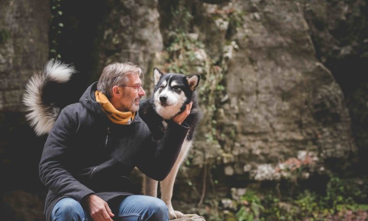 Séance photo animaux, canin, chien, Ariane Castellan photographe Chambéry, Savoie, Isère 