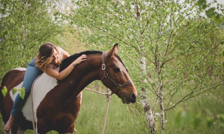 Séance photo animaux, équestre, Ariane Castellan photographe Chambéry, Savoie, Isère 