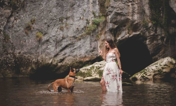 Séance photo animaux, canin, chien, Ariane Castellan photographe Chambéry, Savoie, Isère 